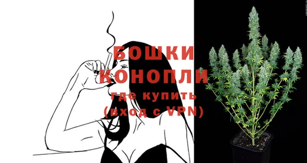 бошки Бронницы