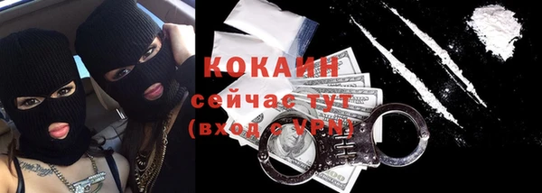 бошки Бронницы