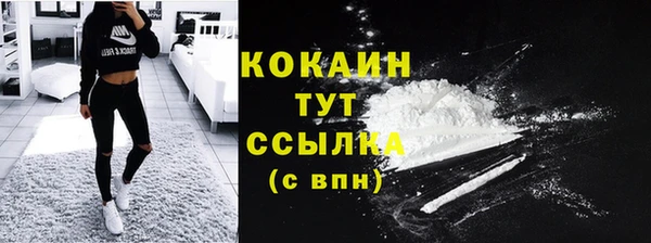 бошки Бронницы