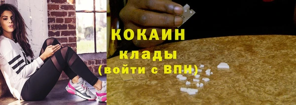 бошки Бронницы